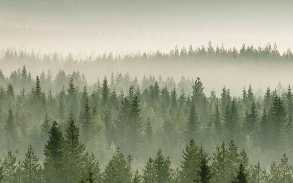 Tu programa de 4 noches