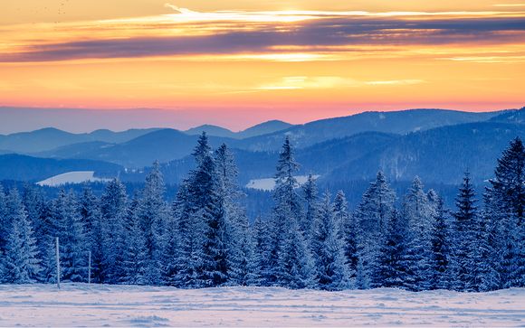 Itinerario - Salidas en grupo