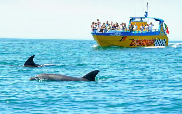 Votre excursion incluse