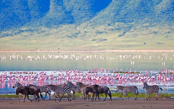 Zoom sur votre programme