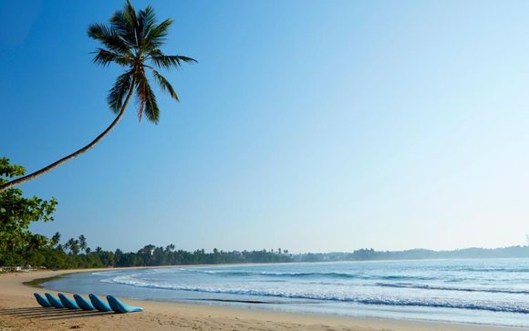 Pour votre confort durant le circuit