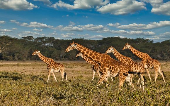 Rendez-vous... en Tanzanie