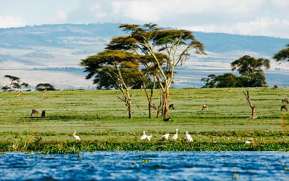 Rendez-vous... au Kenya et en Tanzanie