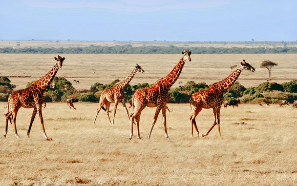 Rendez-vous... au Kenya et en Tanzanie