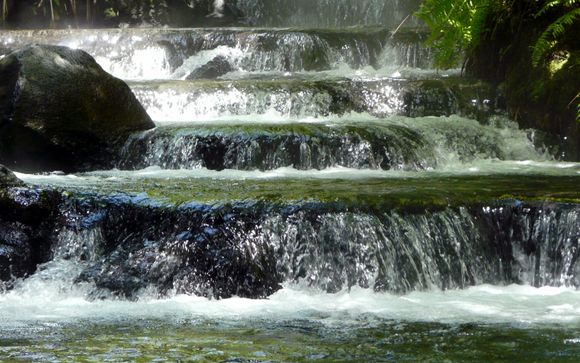 Mettez une option sur l