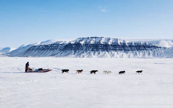 Safari en huskies  auprès d'un élevage local (2h) le jour 3