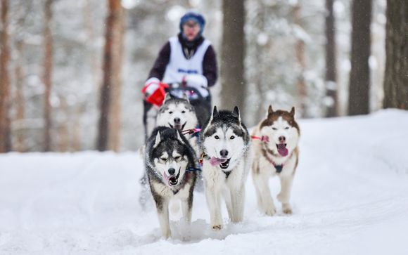 Mettez une option sur l