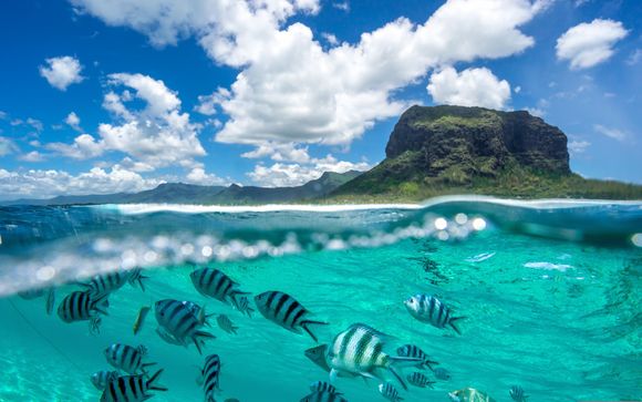 Mettez une option sur l