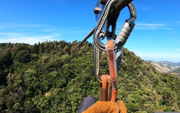 Mettez une option sur l