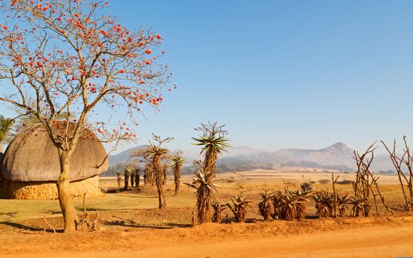 Excursion d'une journée complète au Swaziland