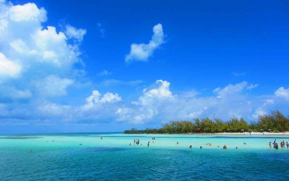 Mettez une option sur l