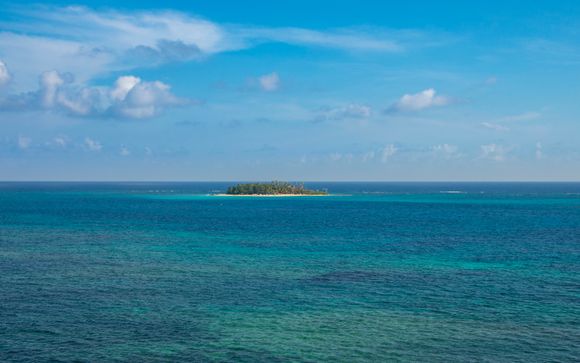 Zoom sur votre programme