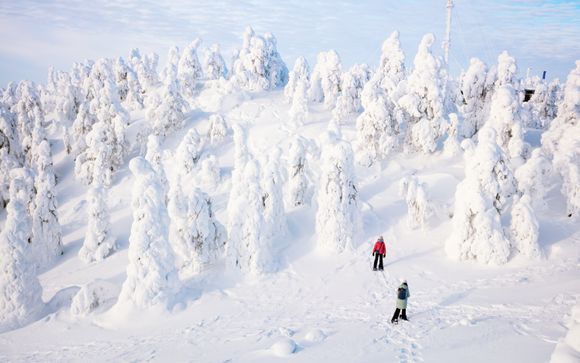 Vos options incluses pour plus d