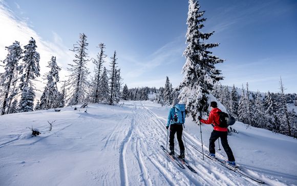 Mettez une option sur l