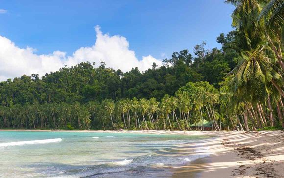 Mettez une option sur l