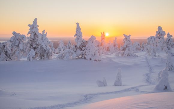 Zoom sur votre programme