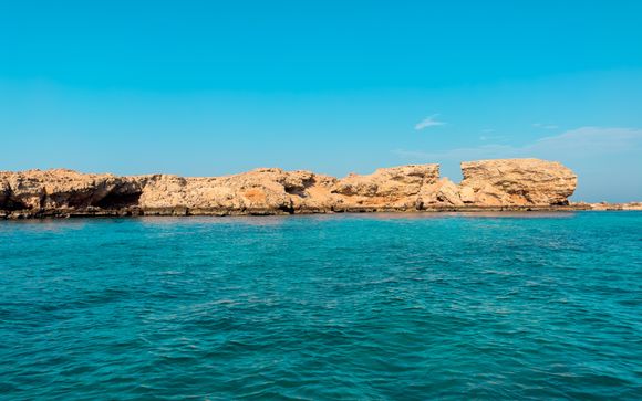 Vos options incluses