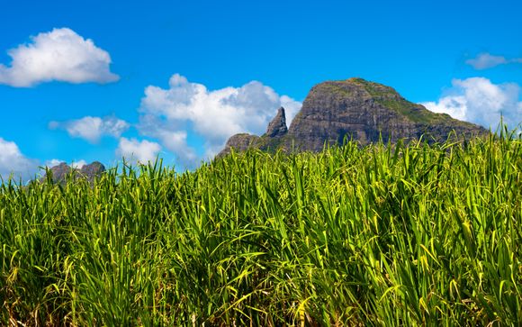 Mettez une option sur l