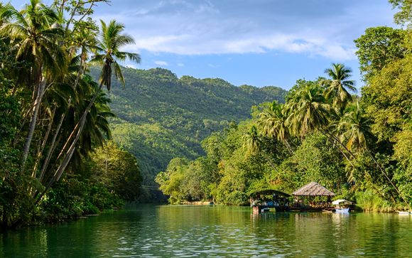 Mettez une option sur l