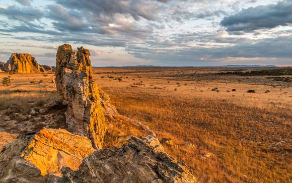 Zoom sur votre programme