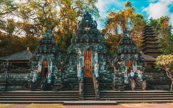 Zoom sur votre programme