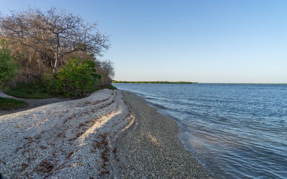 Mettez une option sur l