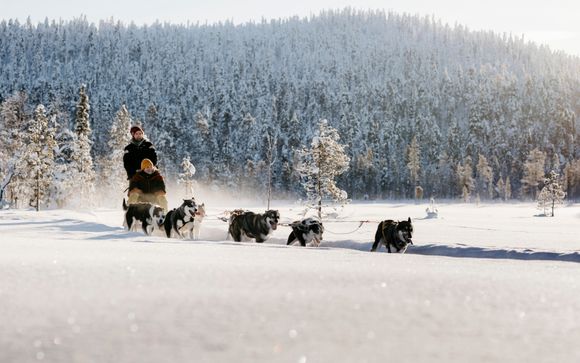 Vos excursions incluses pour plus d