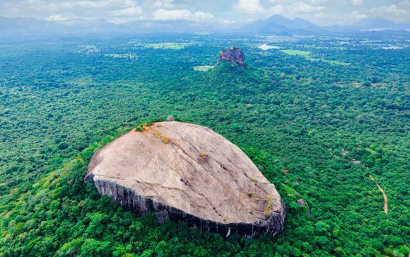 Zoom sur votre programme