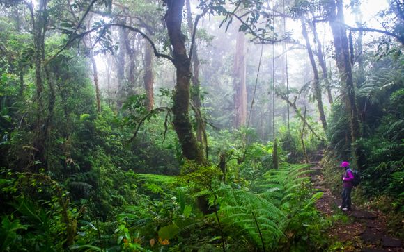 Mettez une option sur l