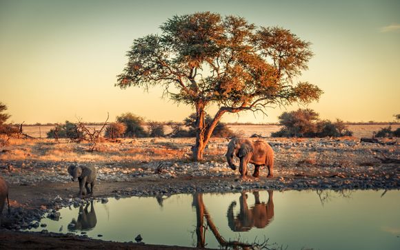 Zoom sur votre programme