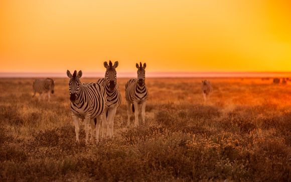 Zoom sur votre programme