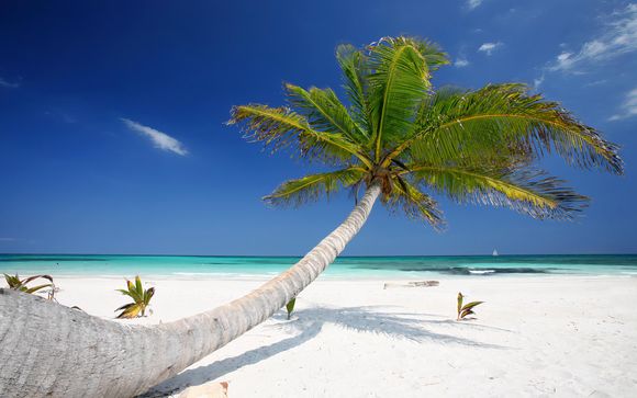 Rendez-vous aux.. Etats-Unis et au Mexique ! 