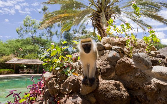 Pour votre confort durant le circuit