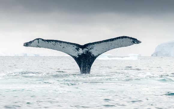 Zoom sur le programme de votre croisière