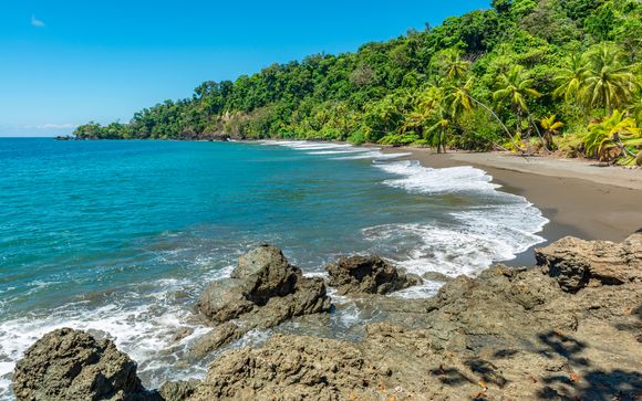 Mettez une option sur l