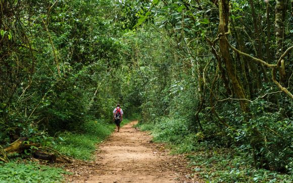 Mettez une option sur l