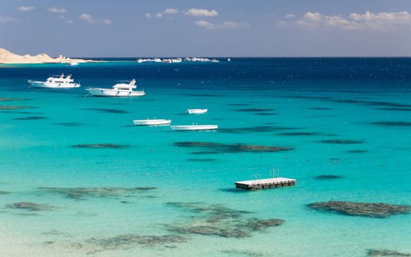 Vos options incluses pour plus d