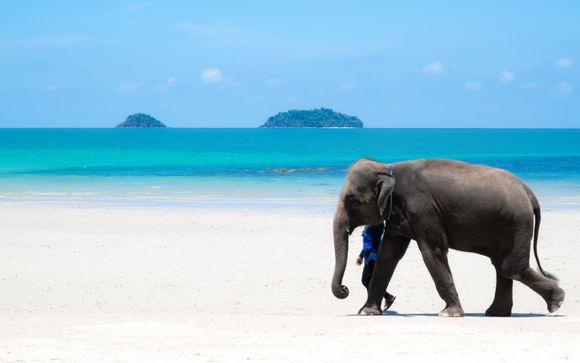 Mettez une option sur l