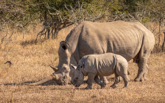 Zoom sur vos programmes