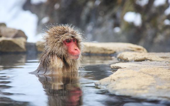 Zoom sur votre programme