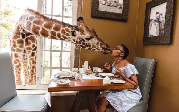 Vos options incluses pour plus d