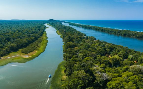 Vos options incluses pour plus d