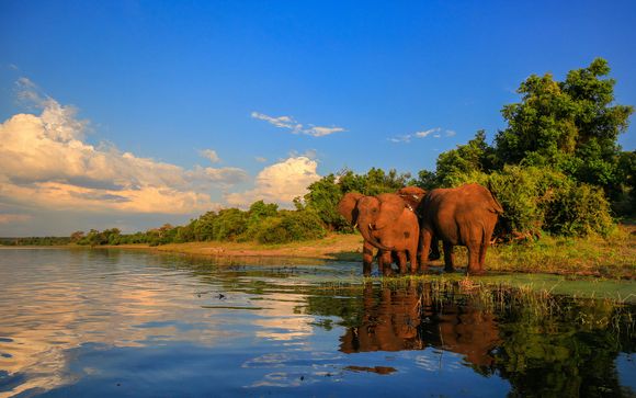 Programme en 7 nuits