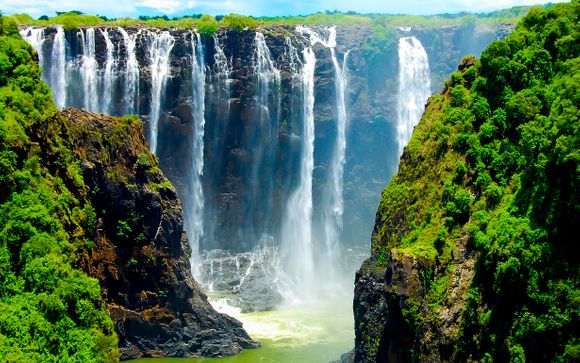 Zoom sur votre programme