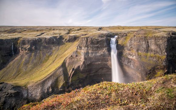 Mettez une option sur l