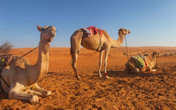 Mettez une option sur l