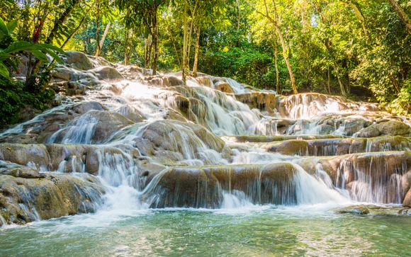 Votre programme suggéré en détail