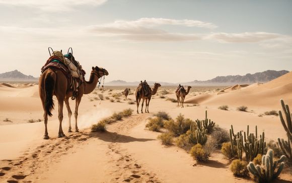 Votre circuit en un clin d’œil