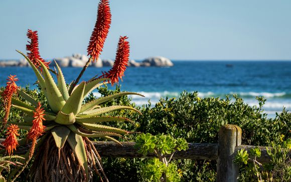 Mettez une option sur l