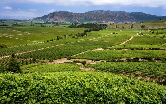 Zoom sur votre programme